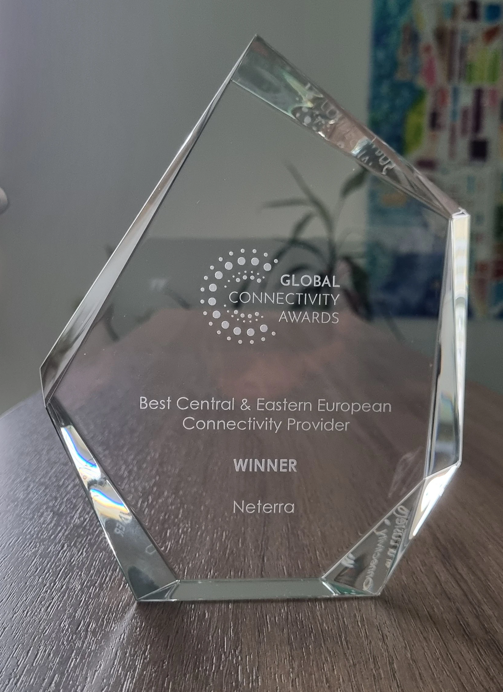 Best Central and Eastern European Connectivity Provider 2025